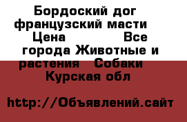 Бордоский дог ( французский масти)  › Цена ­ 50 000 - Все города Животные и растения » Собаки   . Курская обл.
